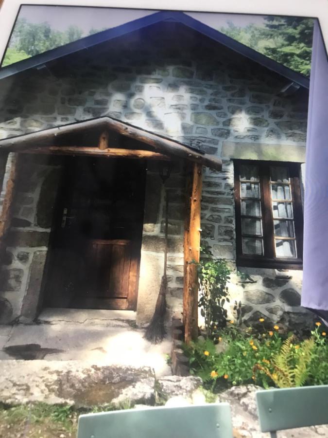 Woodland Cottage Faux-la-Montagne Экстерьер фото
